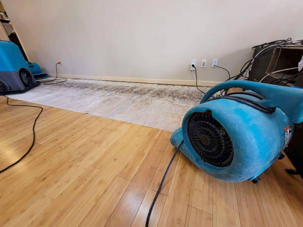 Professional Ceiling Water Damage Repair technician working in Jacksonville, MO